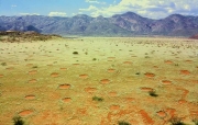 Skąd się biorą w Namibii tajemnicze kręgi w trawie? - Crazy Nauka