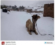 Chcesz zobaczyć śnieg? Poleć do Egiptu. W Kairze spadł po raz pierwszy od ponad 100 lat