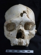 Najstarsze odkryte zabójstwo - czaszka ofiary sprzed 430 tysięcy lat